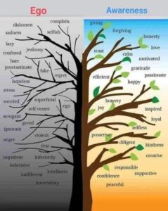 Ego and Awareness